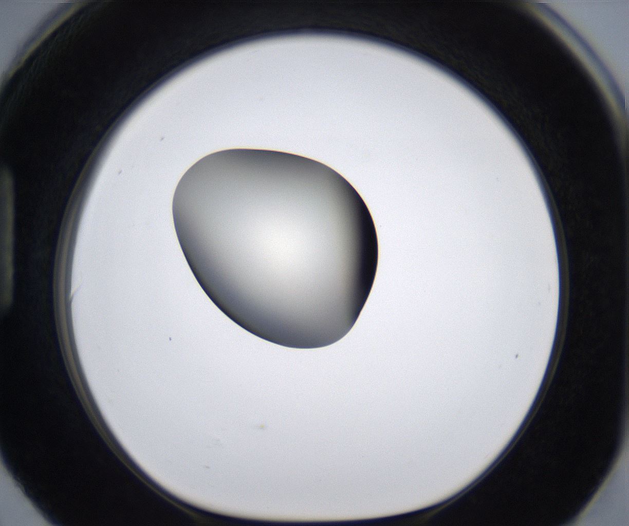 folderID293_plateID2293_batchID10825_wellNum90_profileID1_d1_r160167_ef.jpg