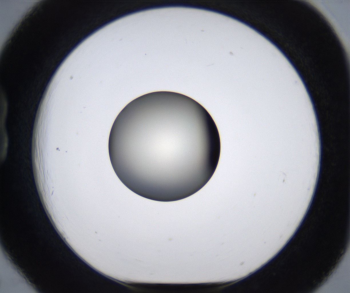 folderID293_plateID2293_batchID10825_wellNum18_profileID1_d1_r160095_ef.jpg