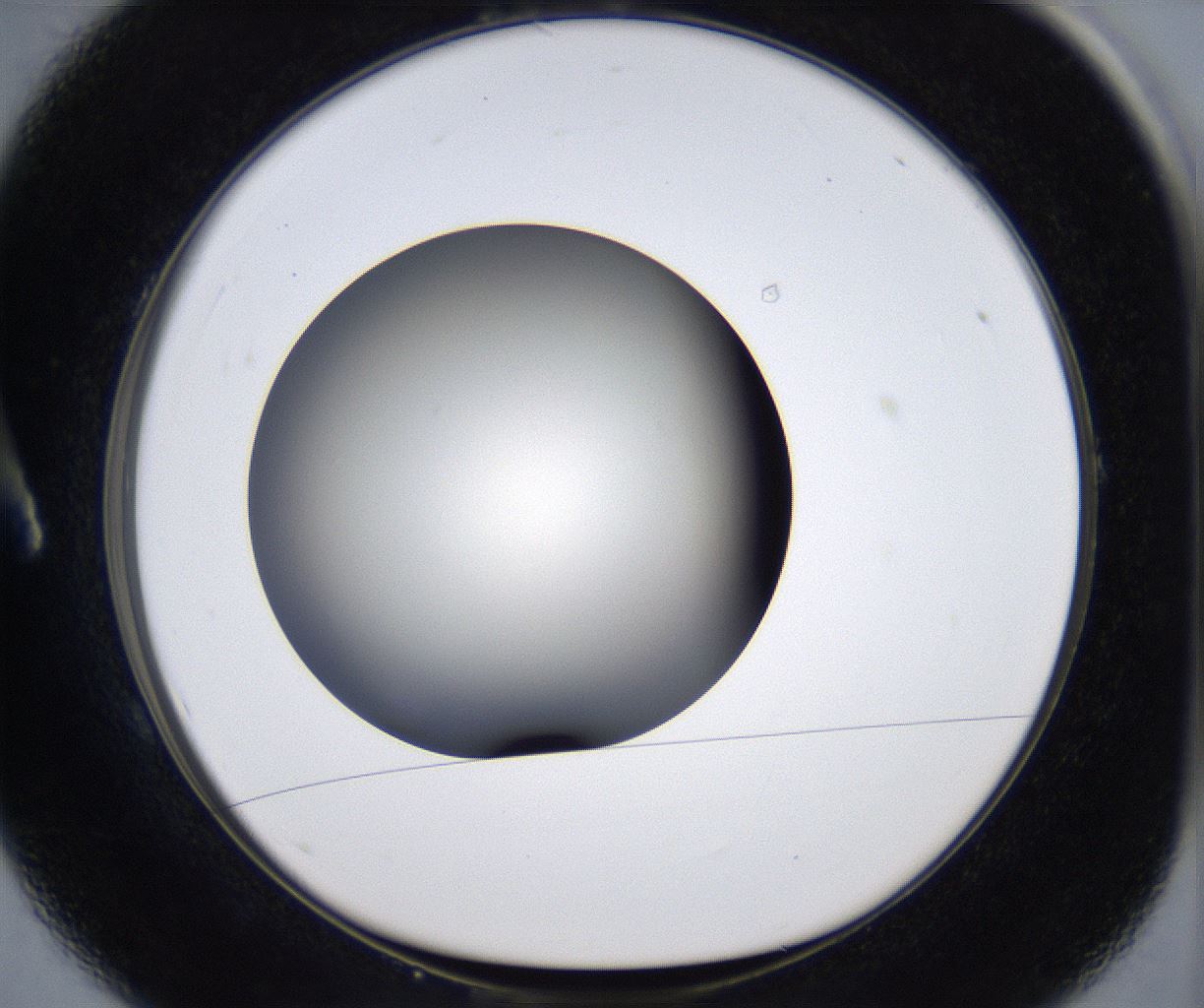 folderID293_plateID2293_batchID10825_wellNum1_profileID1_d1_r160078_ef.jpg