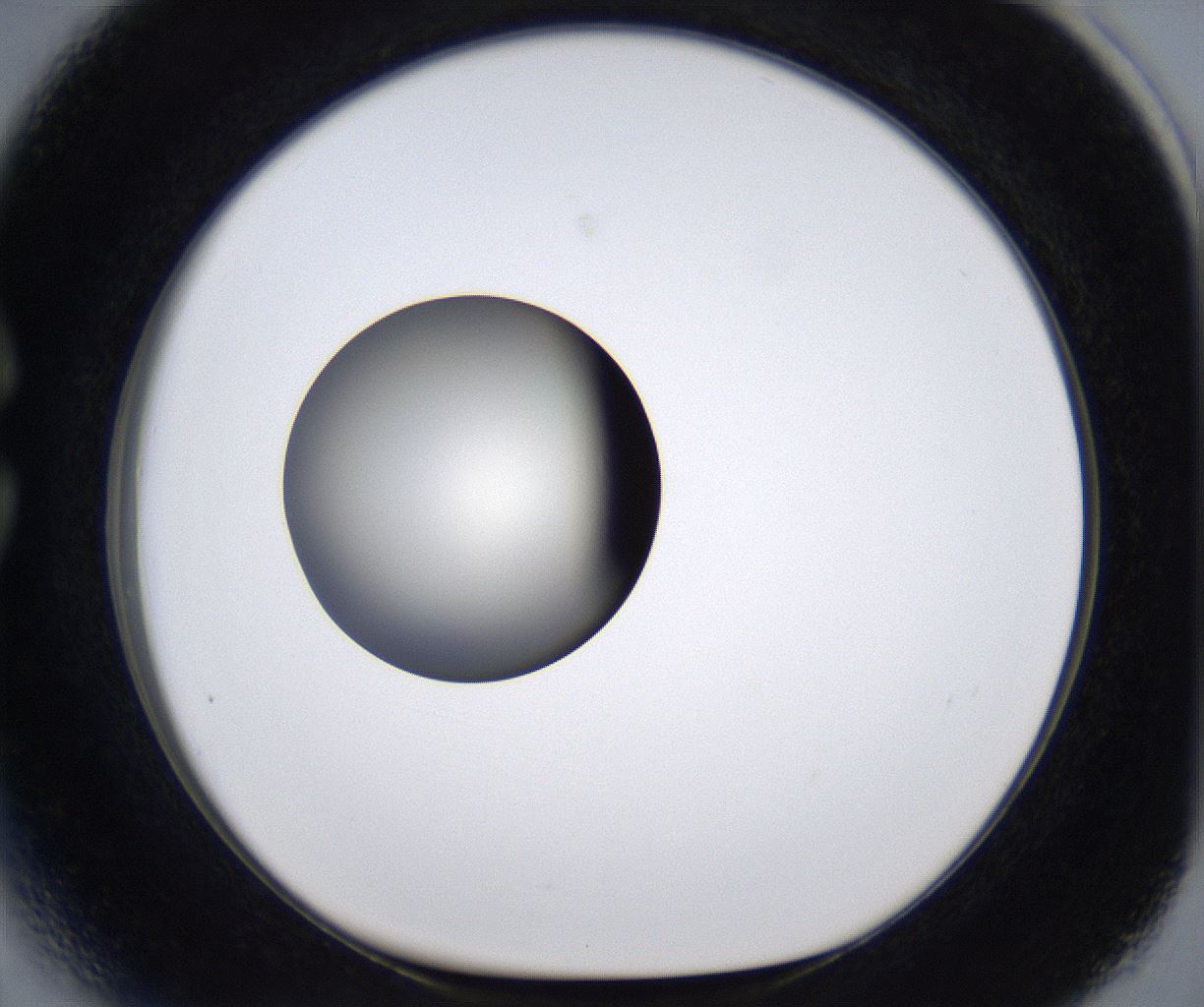 folderID293_plateID2293_batchID10825_wellNum27_profileID1_d1_r160104_ef.jpg