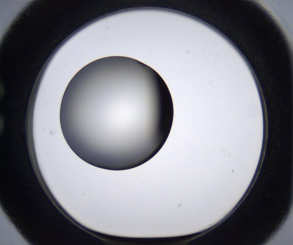 folderID293_plateID2293_batchID10825_wellNum29_profileID1_d1_r160106_ef.jpg