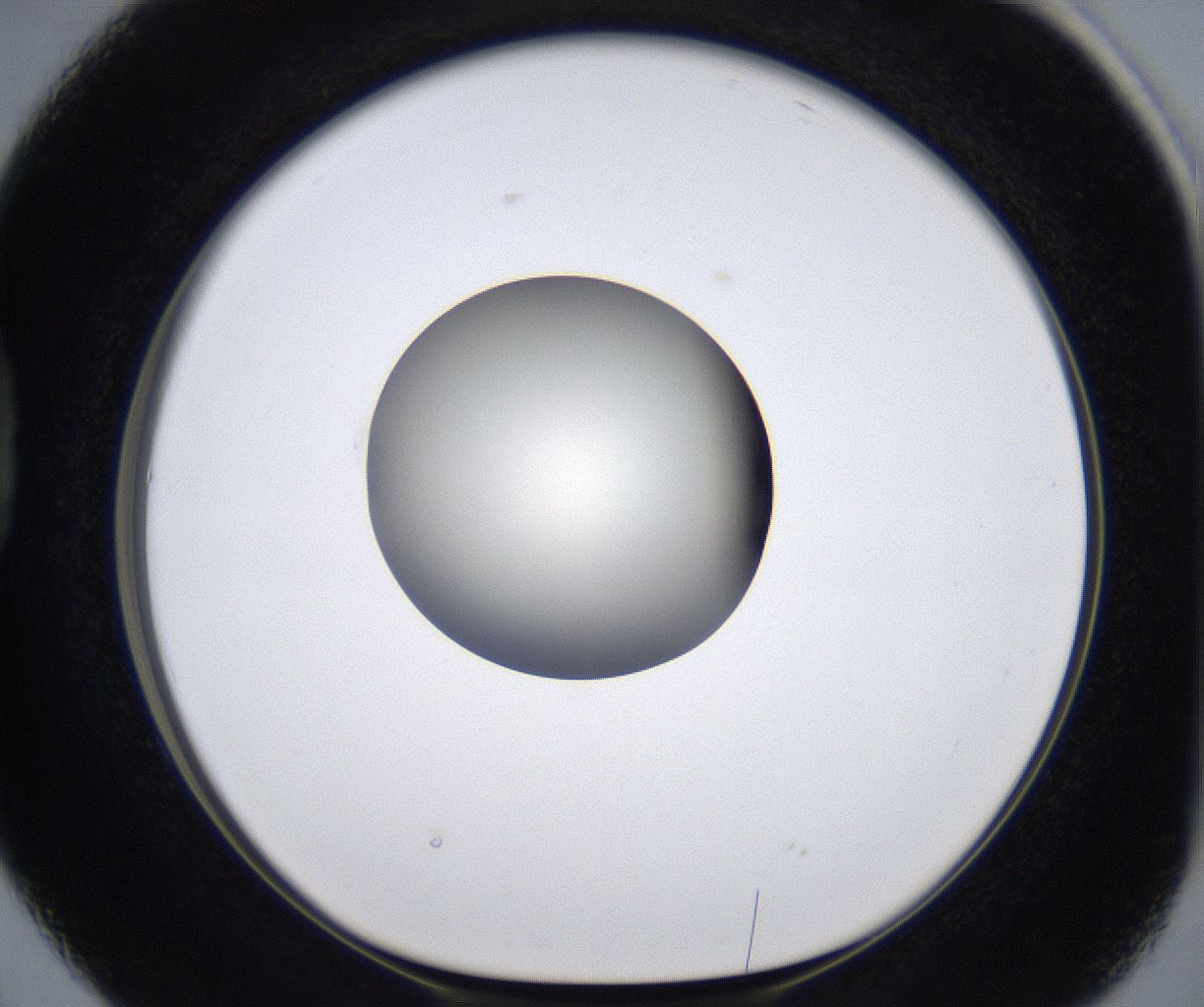 folderID293_plateID2293_batchID10825_wellNum38_profileID1_d1_r160115_ef.jpg