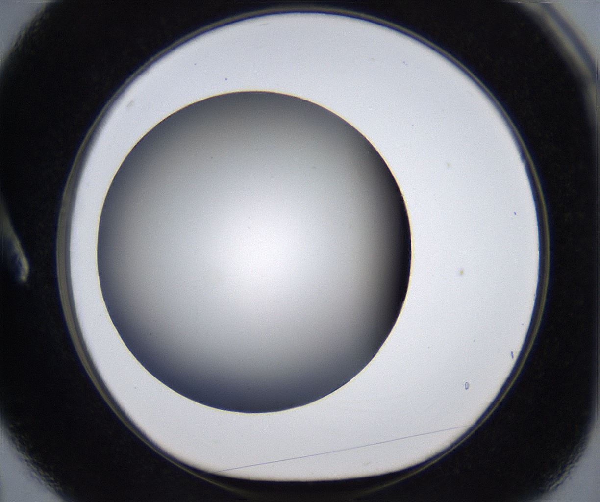 folderID293_plateID2293_batchID10825_wellNum3_profileID1_d1_r160080_ef.jpg