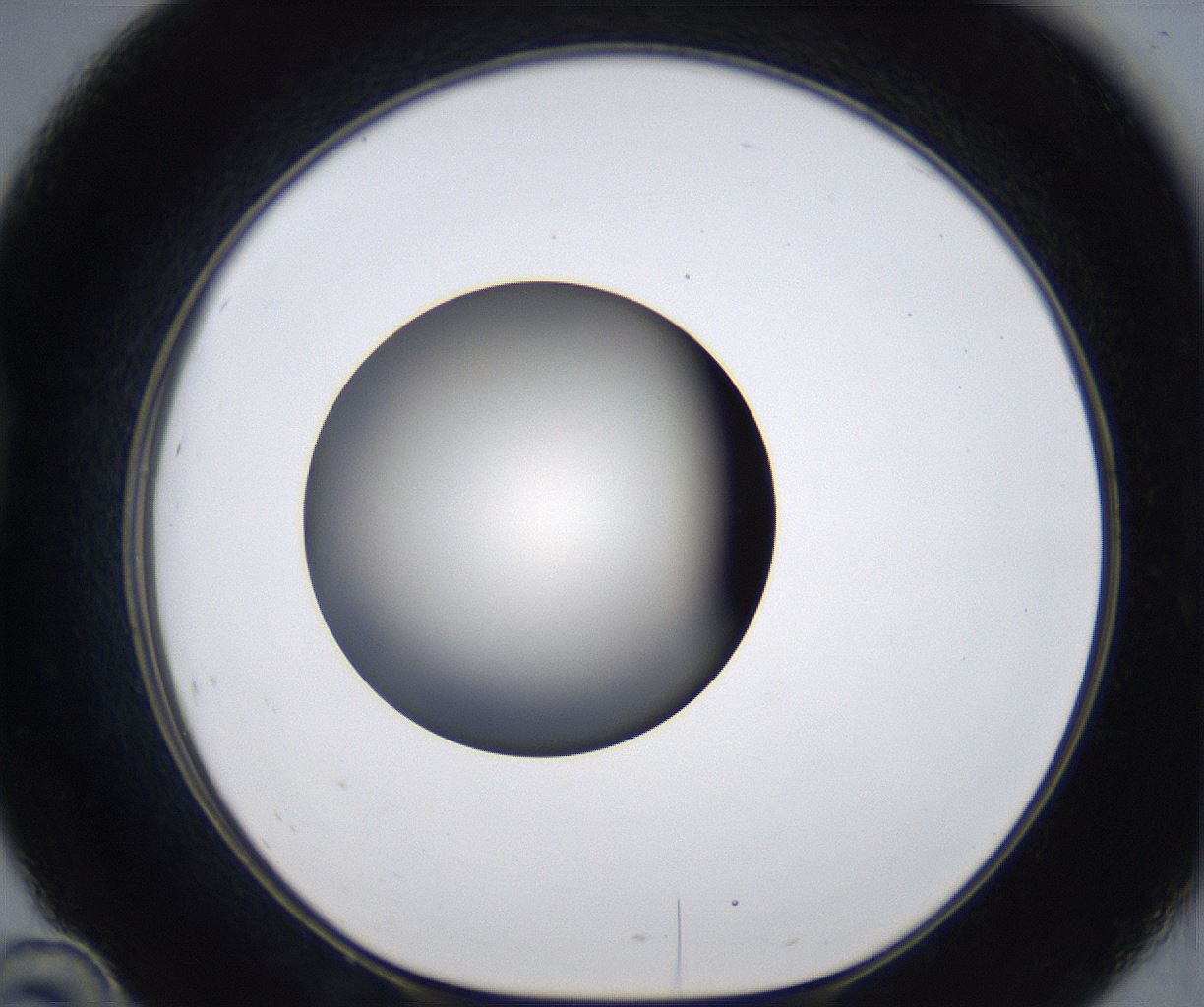 folderID293_plateID2293_batchID10825_wellNum46_profileID1_d1_r160123_ef.jpg