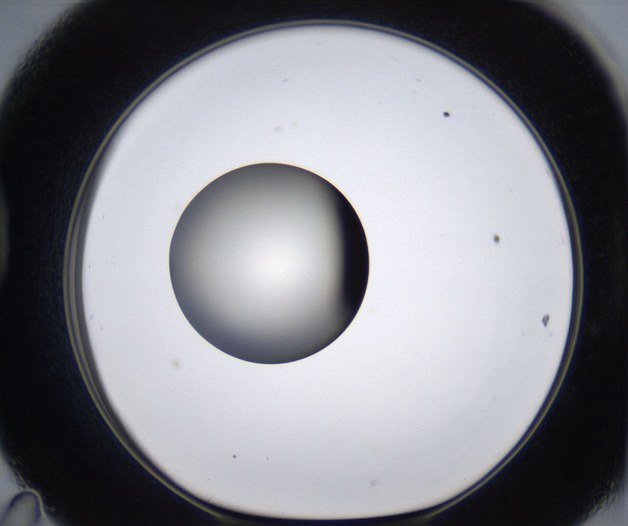 folderID293_plateID2293_batchID10825_wellNum47_profileID1_d1_r160124_ef.jpg