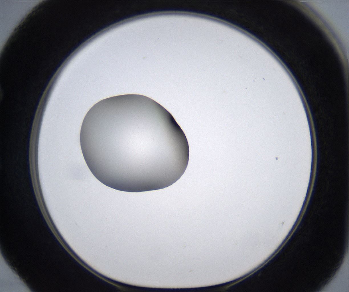 folderID293_plateID2293_batchID10825_wellNum52_profileID1_d1_r160129_ef.jpg