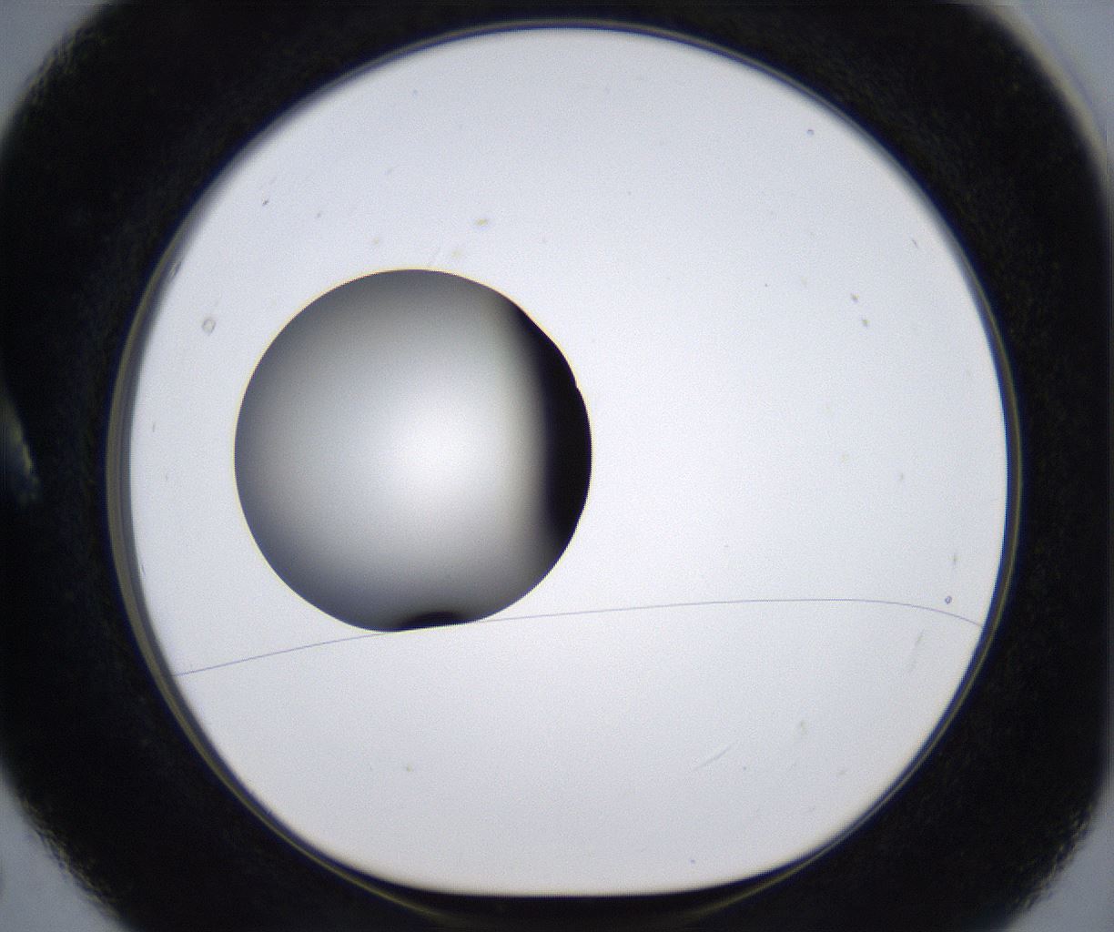 folderID293_plateID2293_batchID10825_wellNum5_profileID1_d1_r160082_ef.jpg