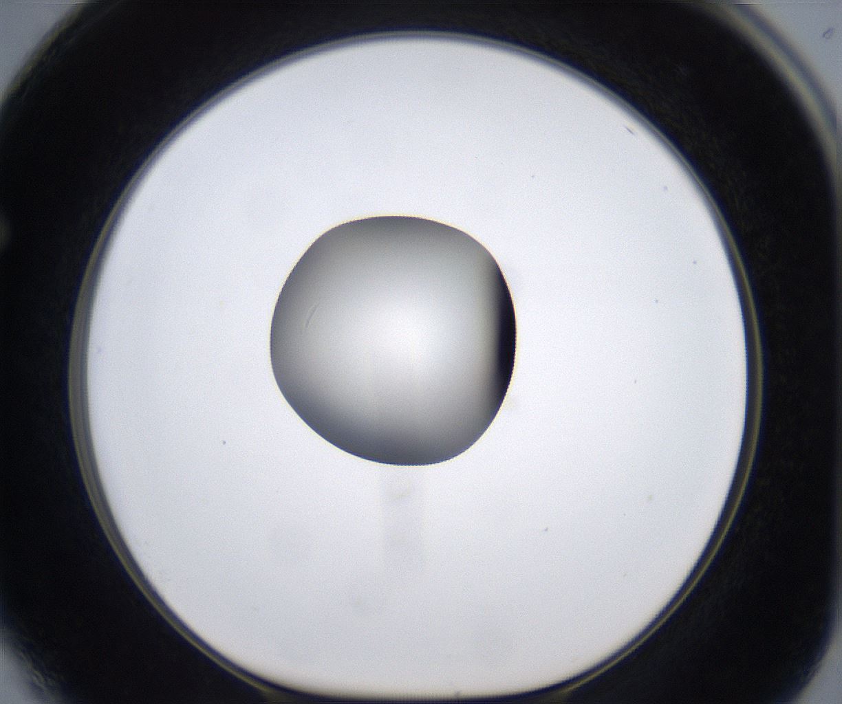 folderID293_plateID2293_batchID10825_wellNum64_profileID1_d1_r160141_ef.jpg