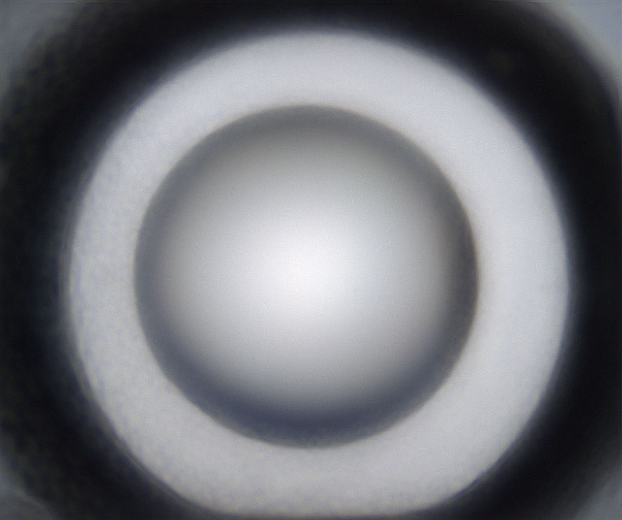 folderID293_plateID2293_batchID10825_wellNum70_profileID1_d1_r160147_ef.jpg