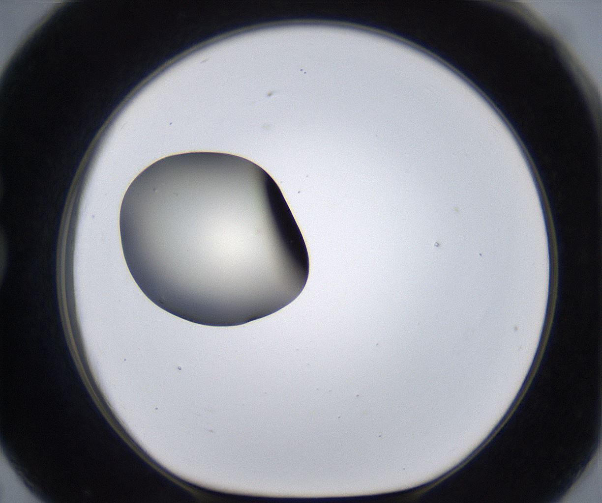 folderID293_plateID2293_batchID10825_wellNum79_profileID1_d1_r160156_ef.jpg