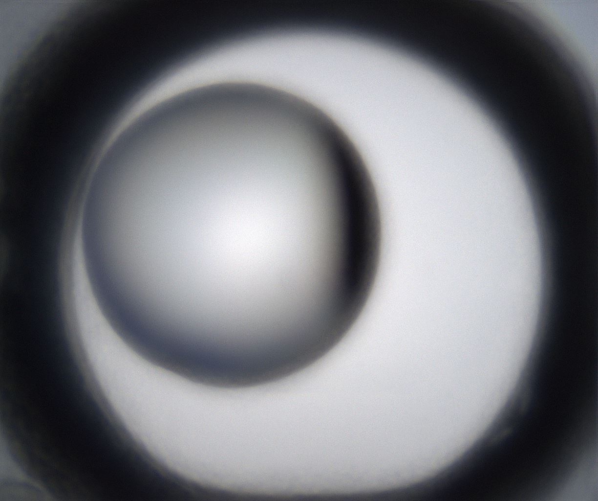 folderID293_plateID2293_batchID10825_wellNum82_profileID1_d1_r160159_ef.jpg