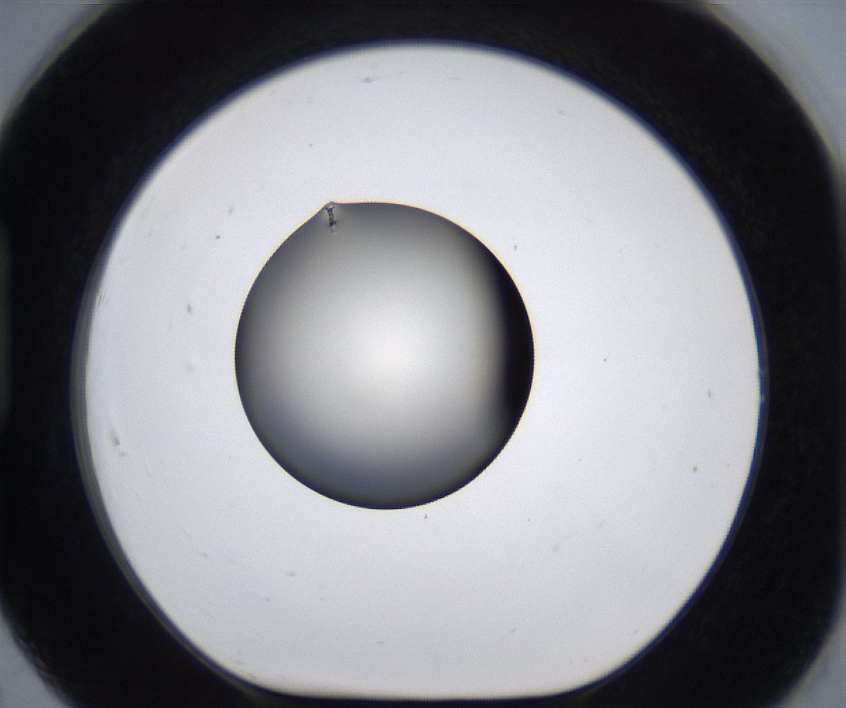 folderID293_plateID2293_batchID10825_wellNum91_profileID1_d1_r160168_ef.jpg