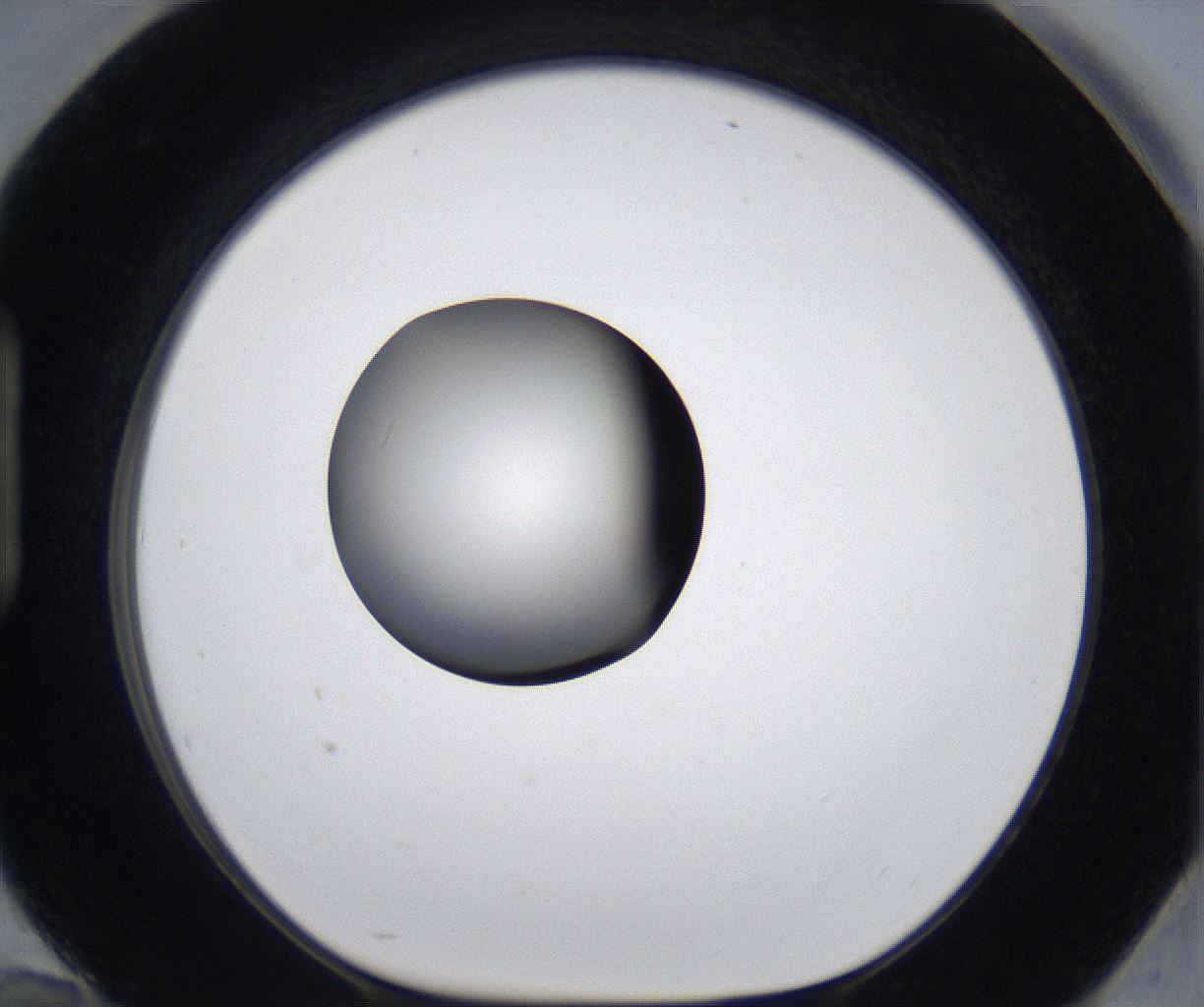 folderID293_plateID2293_batchID10825_wellNum94_profileID1_d1_r160171_ef.jpg
