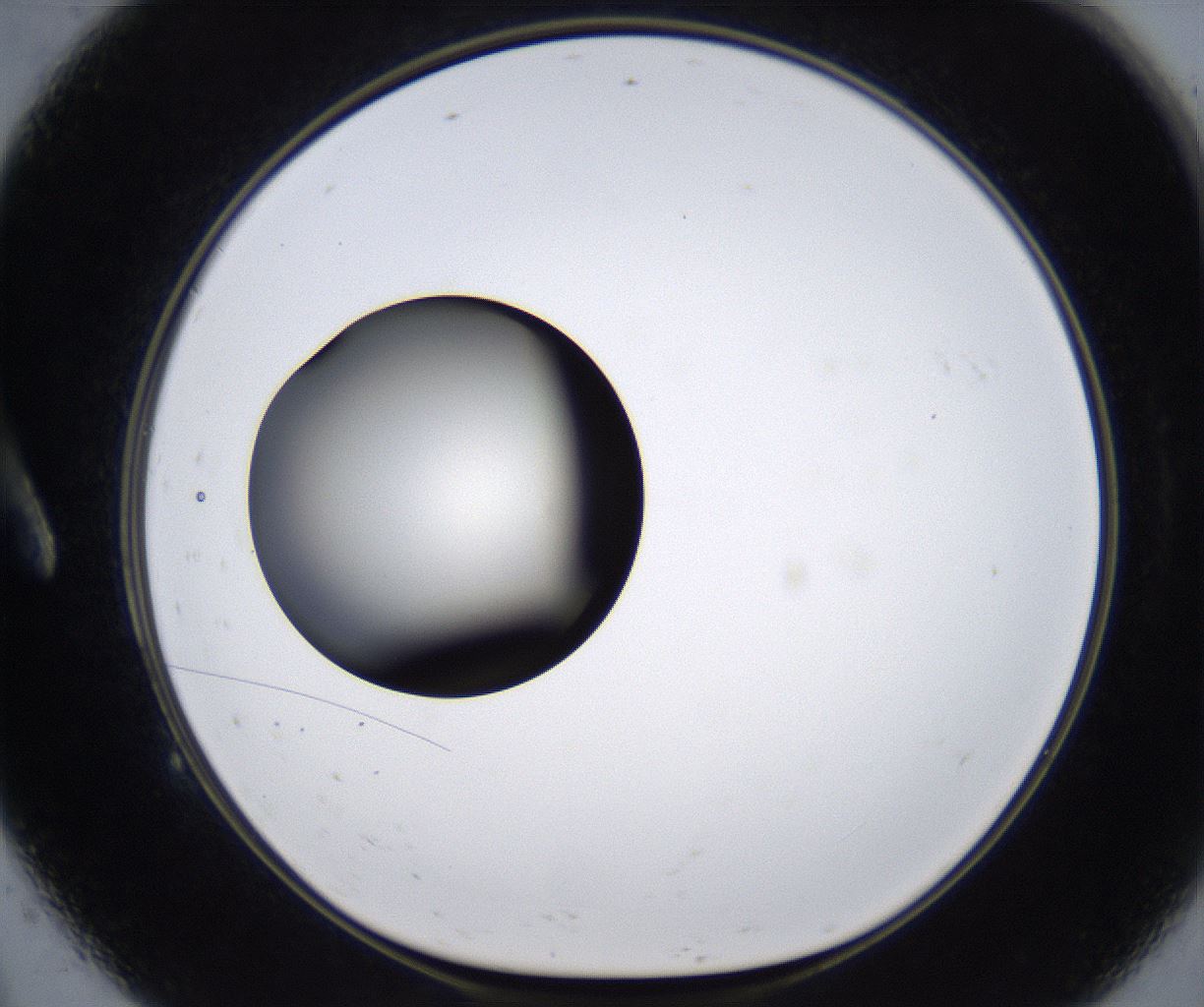 folderID293_plateID2293_batchID10825_wellNum9_profileID1_d1_r160086_ef.jpg