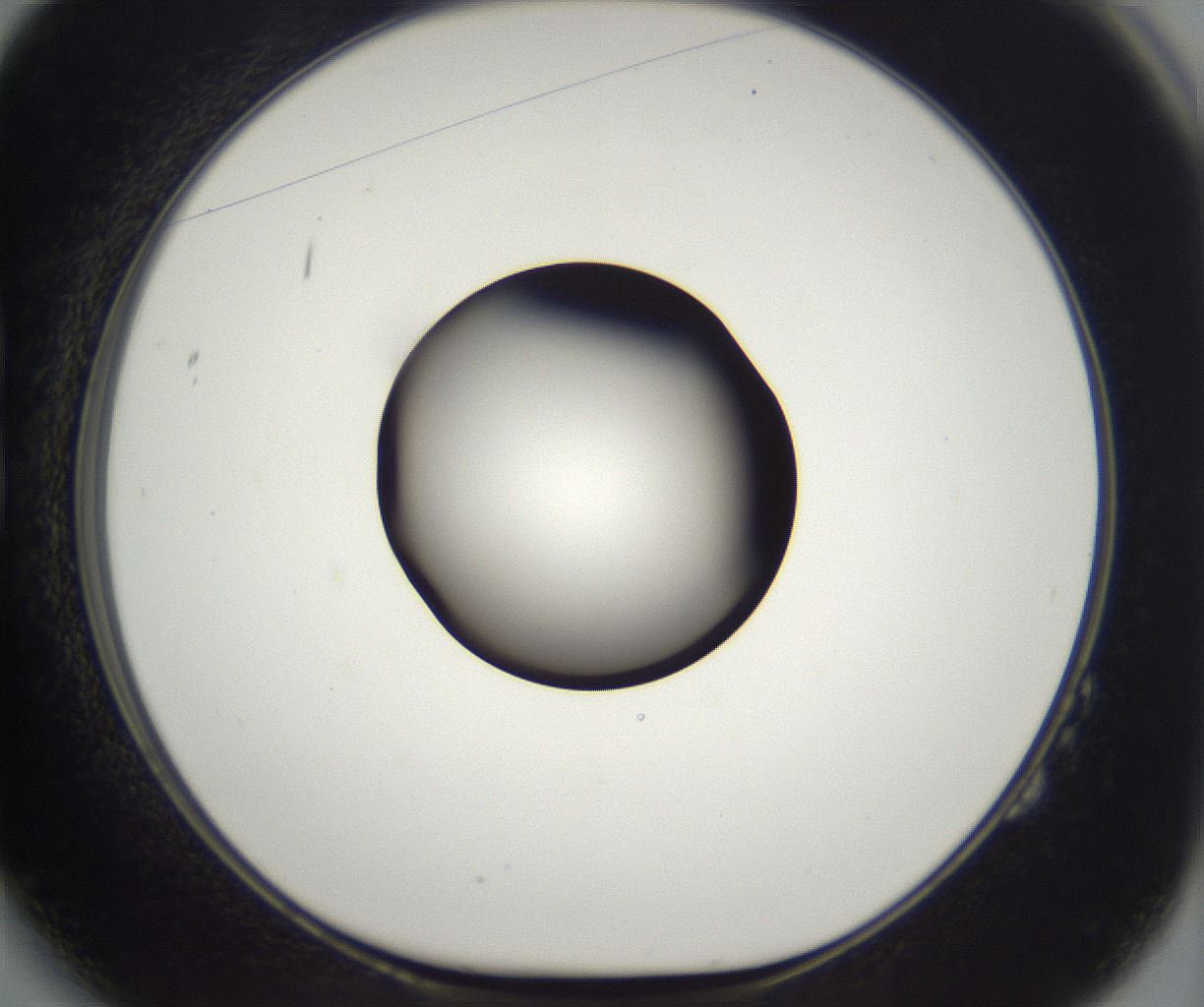 folderID294_plateID2294_batchID10851_wellNum14_profileID1_d1_r161339_ef.jpg