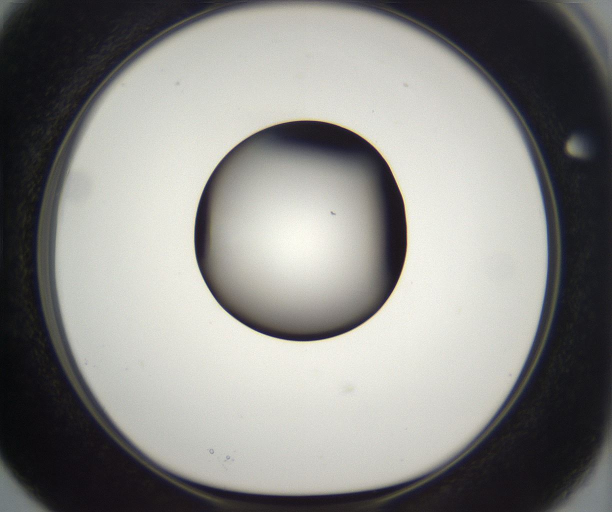 folderID294_plateID2294_batchID10851_wellNum15_profileID1_d1_r161340_ef.jpg