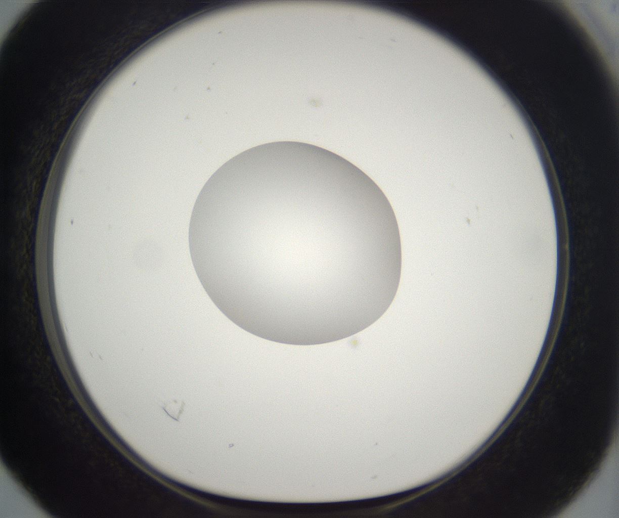 folderID294_plateID2294_batchID10851_wellNum16_profileID1_d1_r161341_ef.jpg