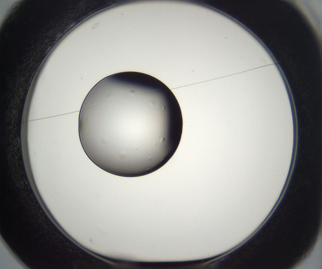 folderID294_plateID2294_batchID10851_wellNum25_profileID1_d1_r161350_ef.jpg