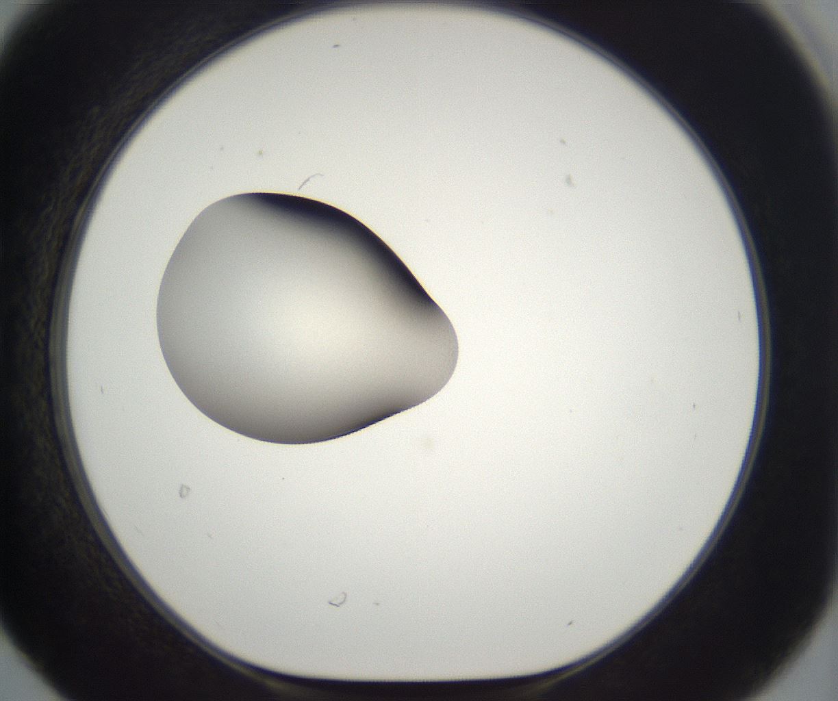 folderID294_plateID2294_batchID10851_wellNum30_profileID1_d1_r161355_ef.jpg