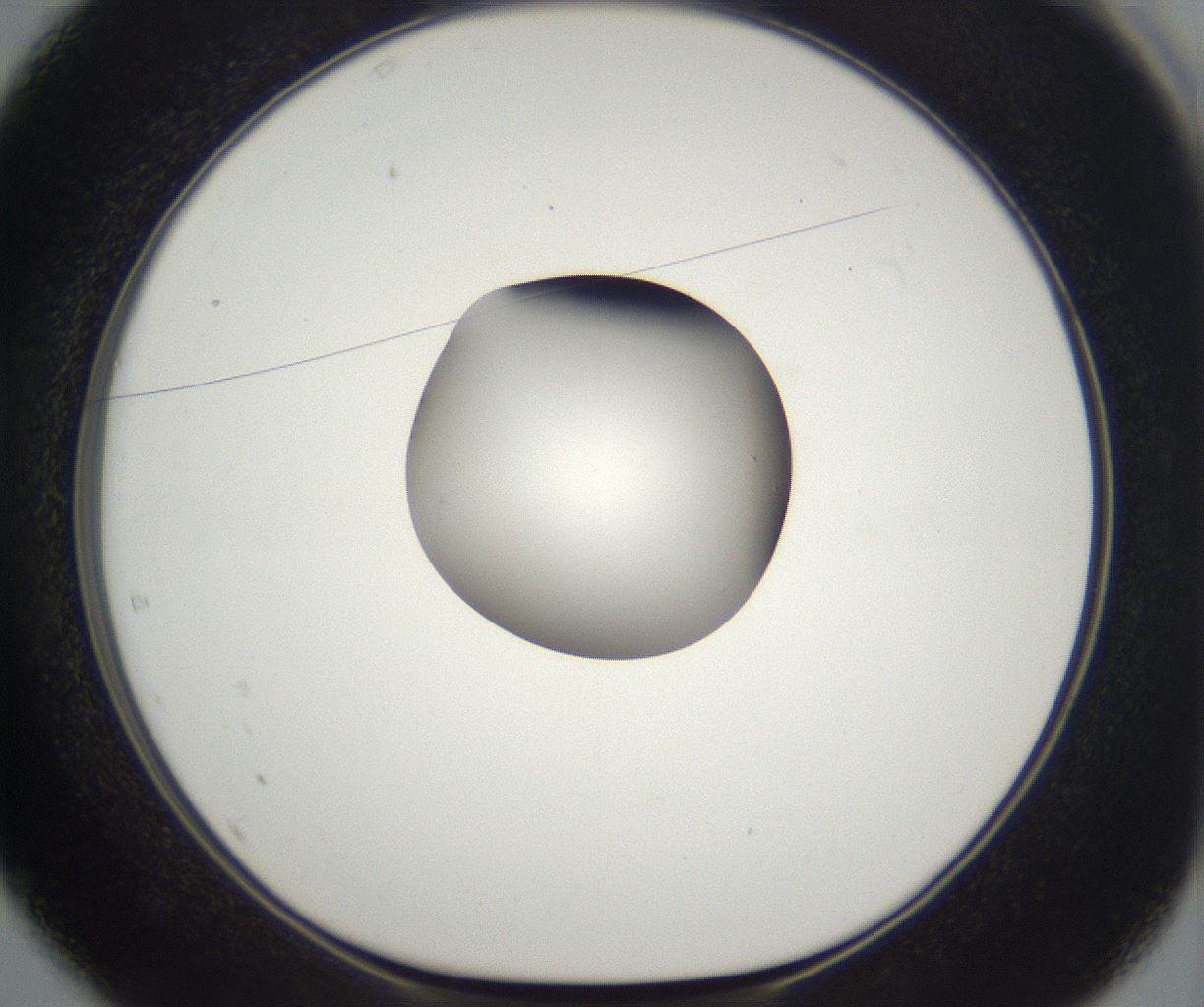 folderID294_plateID2294_batchID10851_wellNum37_profileID1_d1_r161362_ef.jpg