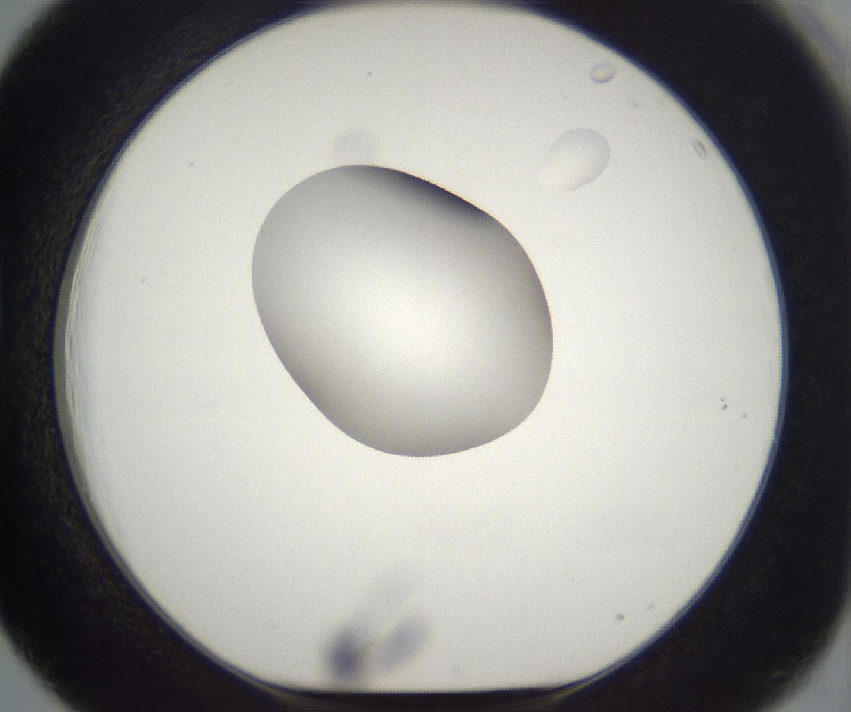 folderID294_plateID2294_batchID10851_wellNum39_profileID1_d1_r161364_ef.jpg