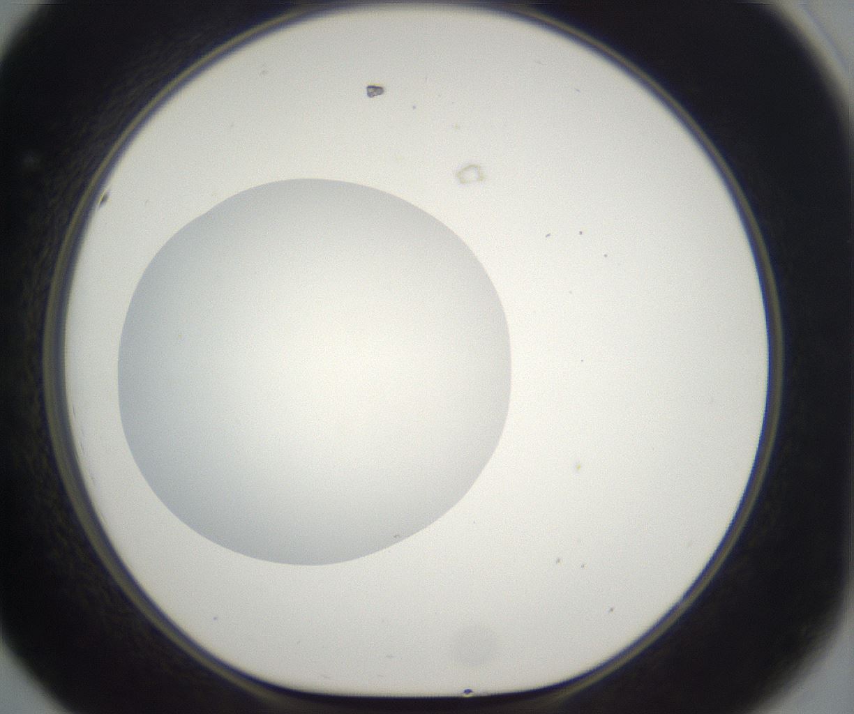 folderID294_plateID2294_batchID10851_wellNum44_profileID1_d1_r161369_ef.jpg
