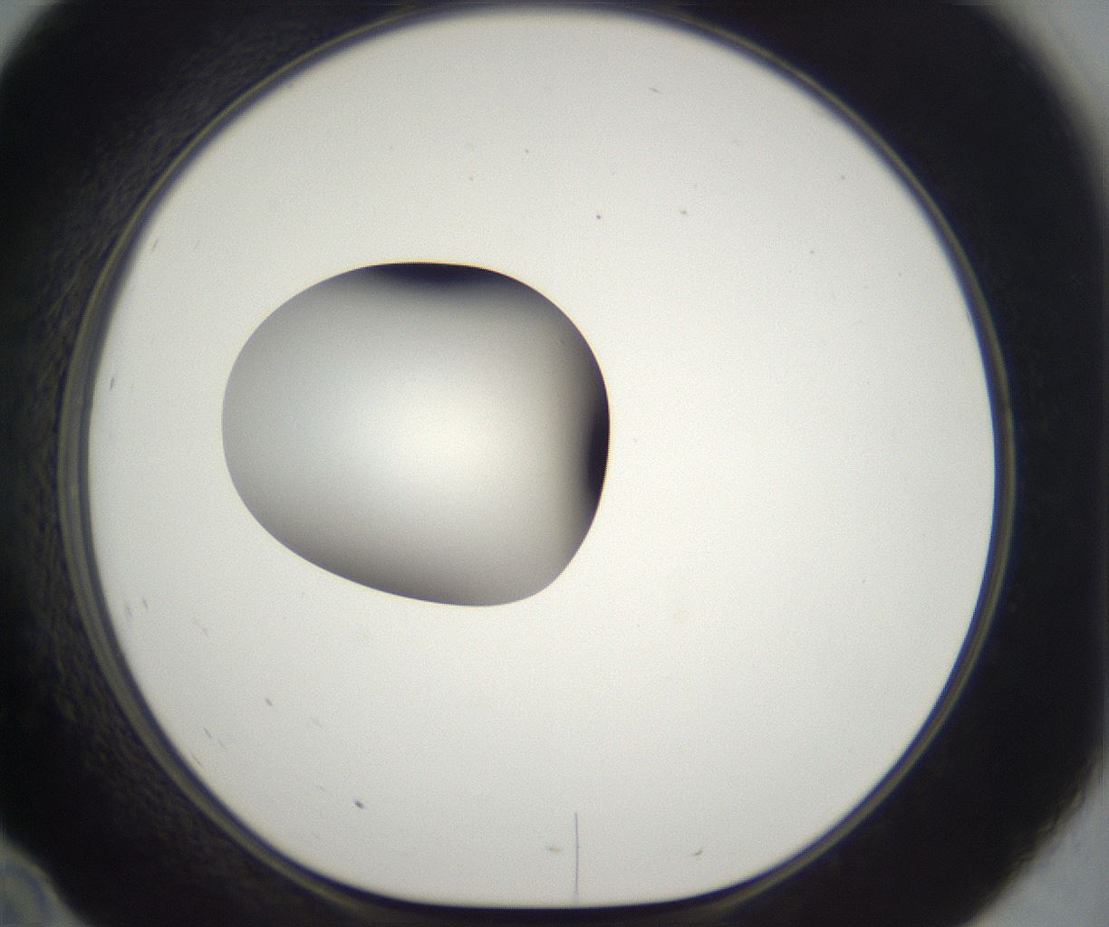 folderID294_plateID2294_batchID10851_wellNum46_profileID1_d1_r161371_ef.jpg