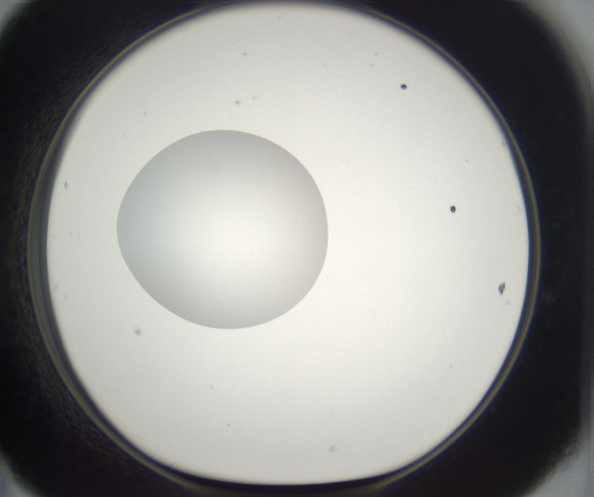 folderID294_plateID2294_batchID10851_wellNum47_profileID1_d1_r161372_ef.jpg