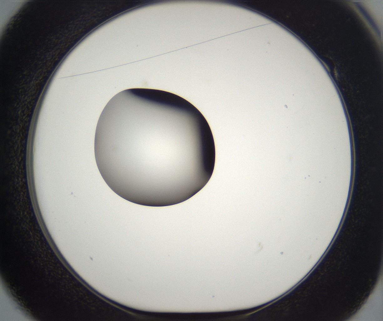 folderID294_plateID2294_batchID10851_wellNum49_profileID1_d1_r161374_ef.jpg