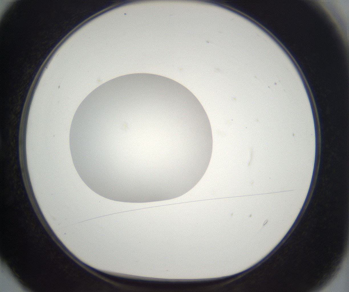 folderID294_plateID2294_batchID10851_wellNum4_profileID1_d1_r161329_ef.jpg