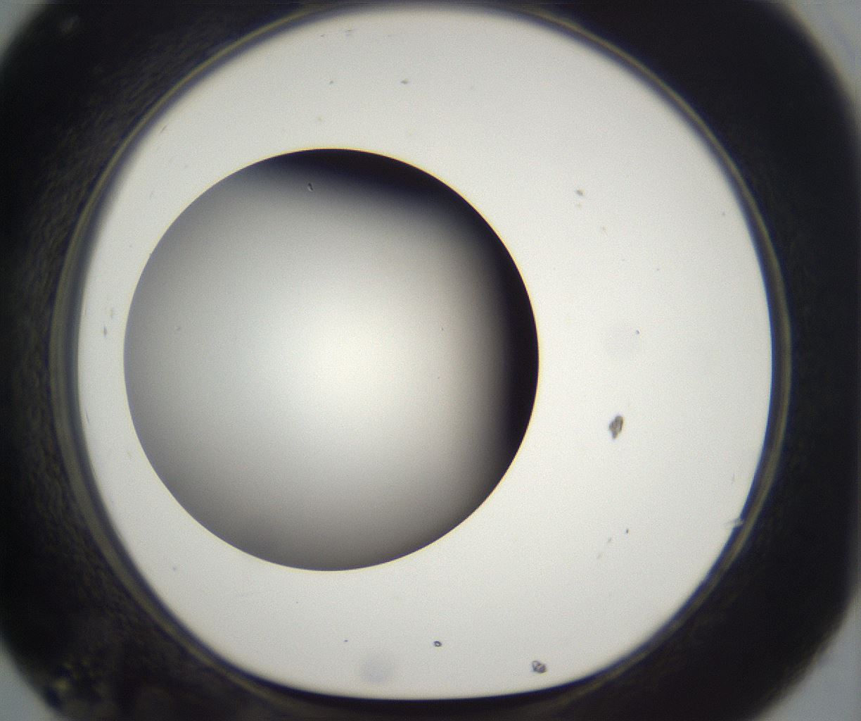 folderID294_plateID2294_batchID10851_wellNum32_profileID1_d1_r161357_ef.jpg
