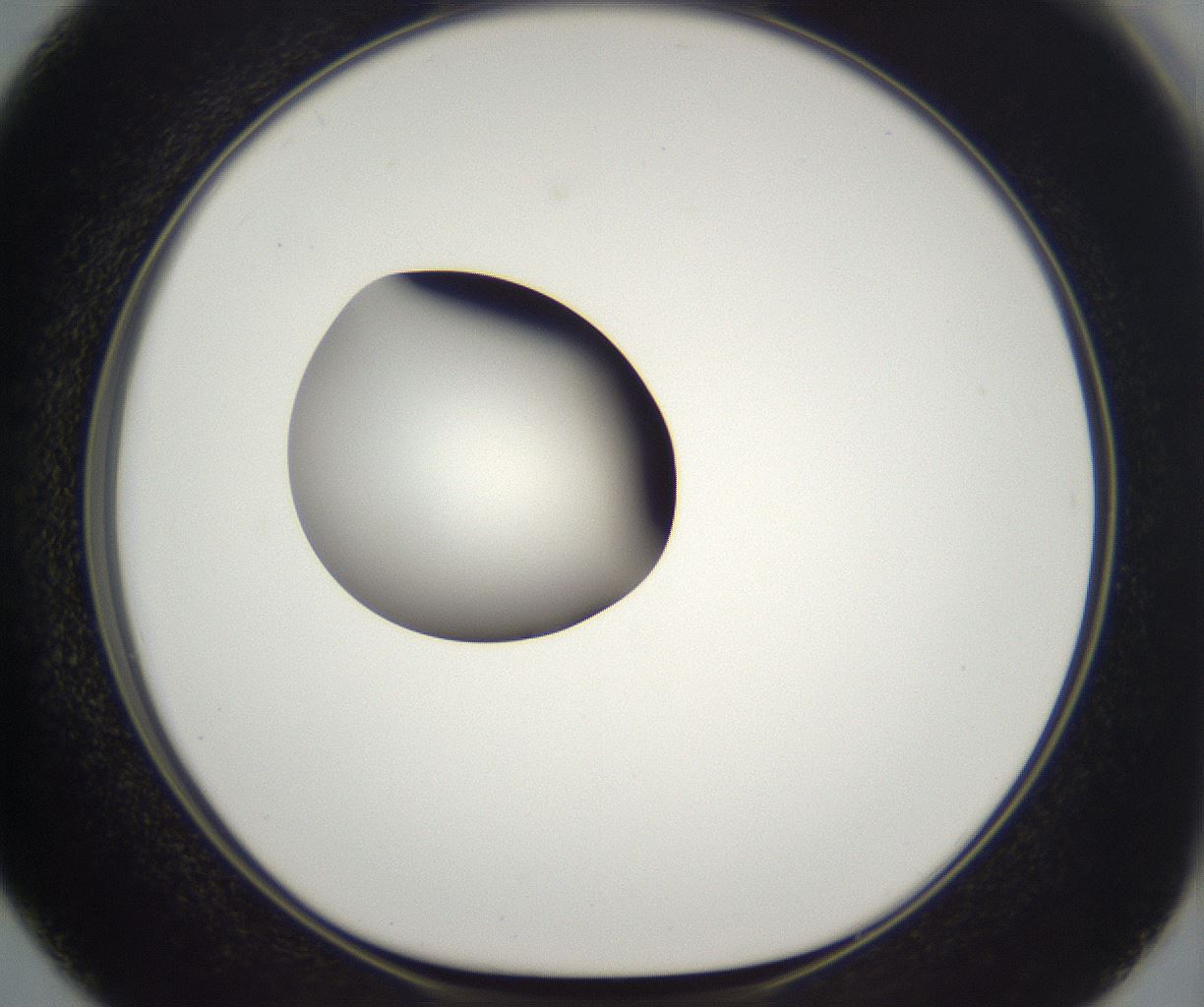 folderID294_plateID2294_batchID10851_wellNum50_profileID1_d1_r161375_ef.jpg