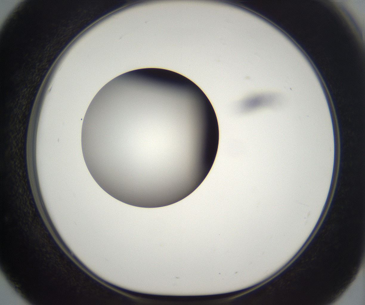 folderID294_plateID2294_batchID10851_wellNum51_profileID1_d1_r161376_ef.jpg