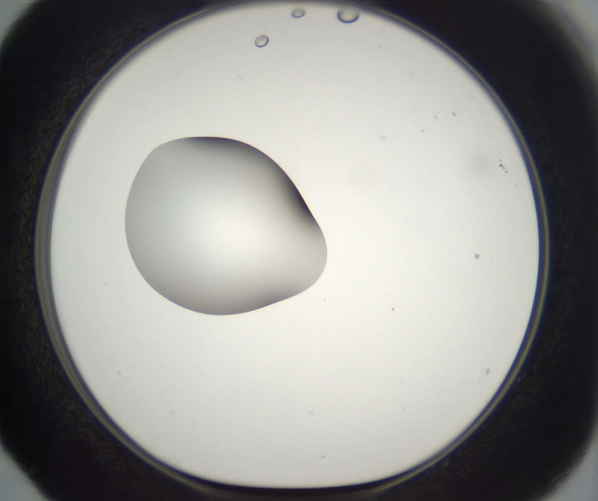 folderID294_plateID2294_batchID10851_wellNum52_profileID1_d1_r161377_ef.jpg