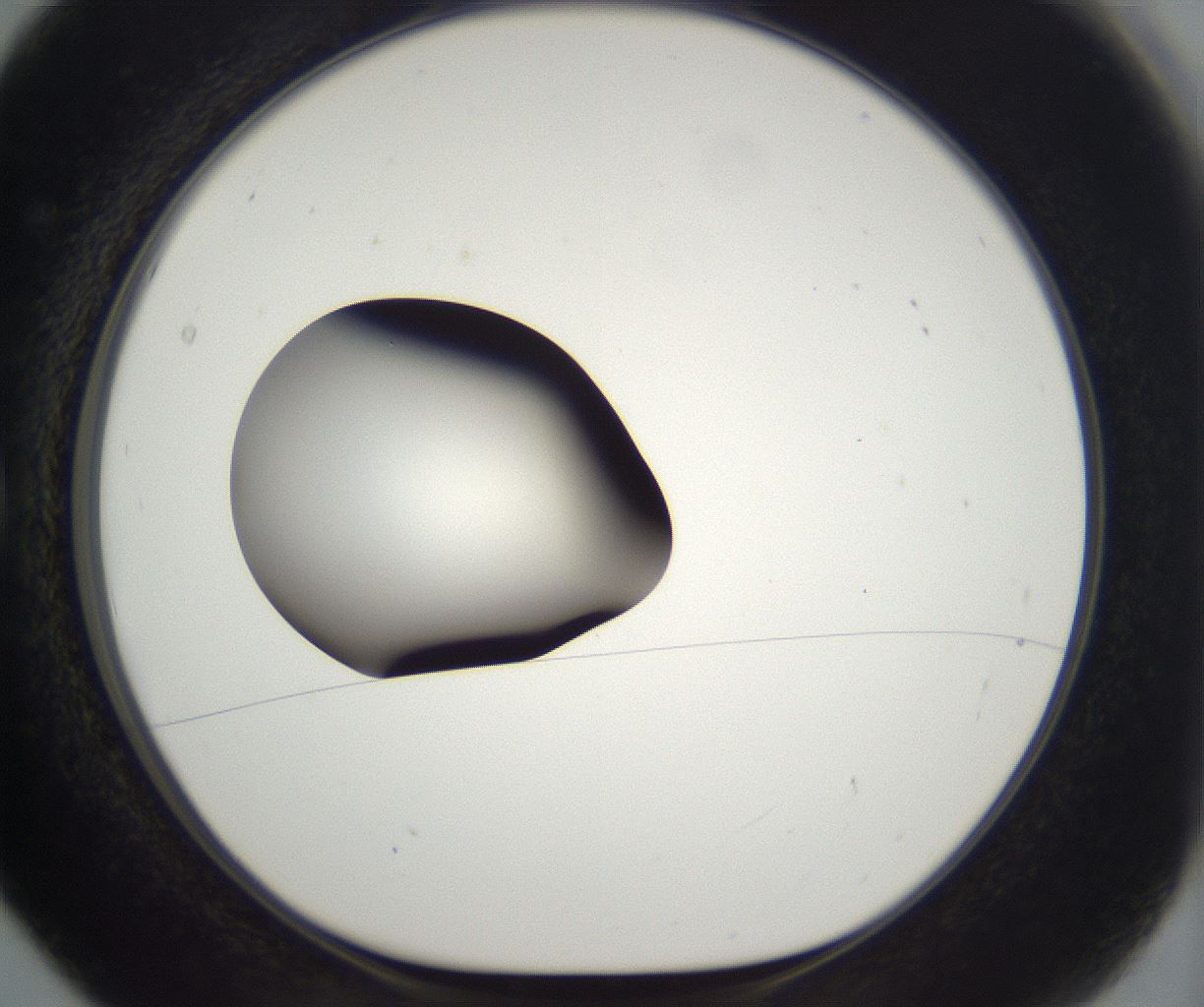 folderID294_plateID2294_batchID10851_wellNum5_profileID1_d1_r161330_ef.jpg