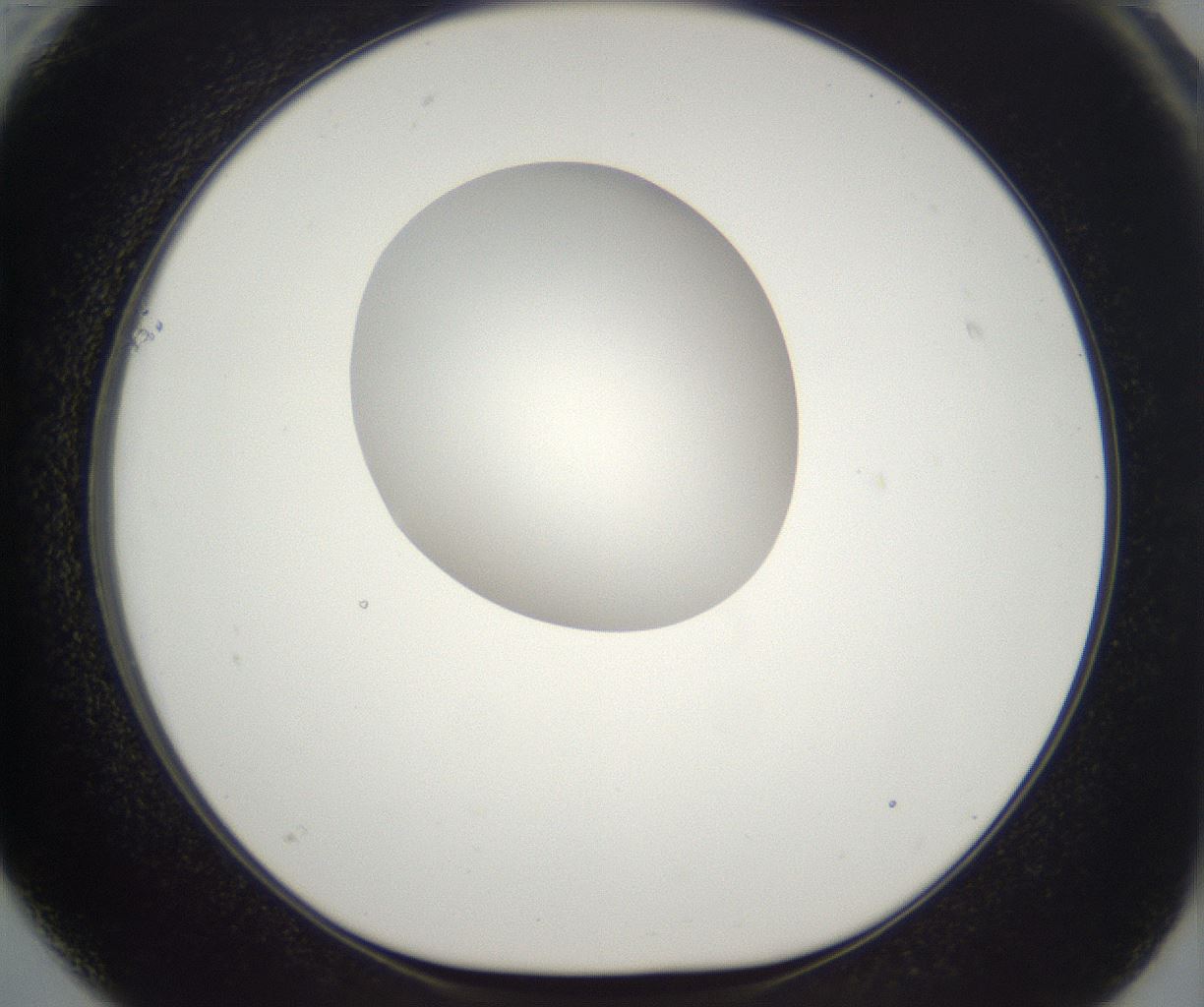 folderID294_plateID2294_batchID10851_wellNum61_profileID1_d1_r161386_ef.jpg