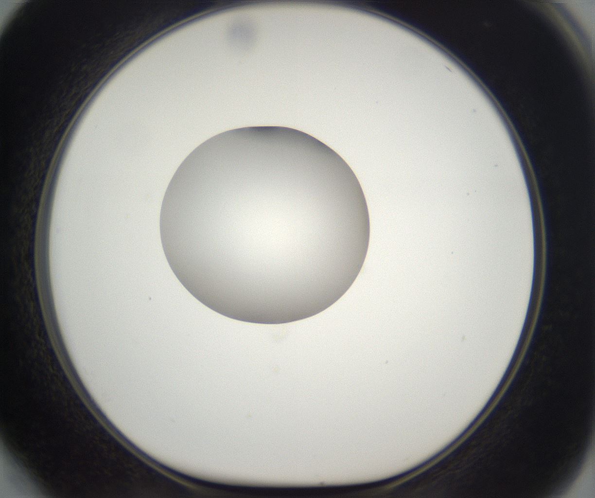 folderID294_plateID2294_batchID10851_wellNum64_profileID1_d1_r161389_ef.jpg