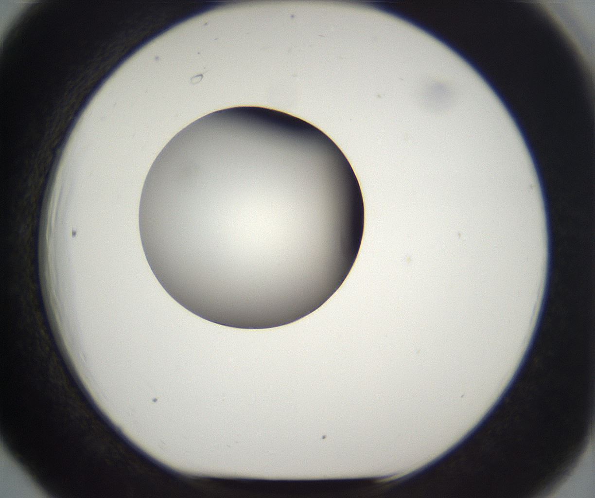 folderID294_plateID2294_batchID10851_wellNum66_profileID1_d1_r161391_ef.jpg
