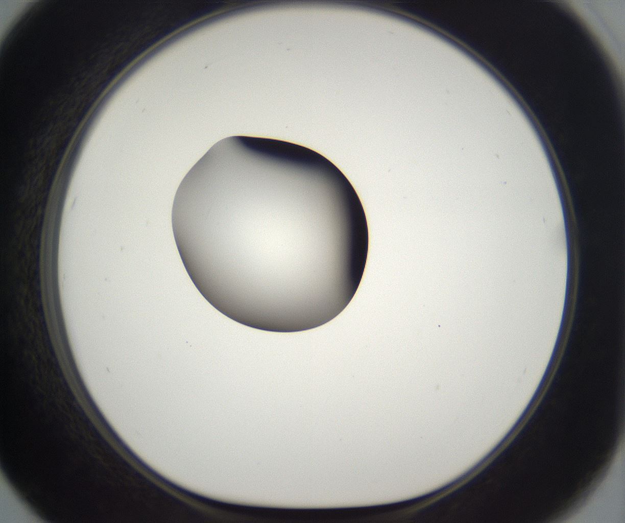 folderID294_plateID2294_batchID10851_wellNum67_profileID1_d1_r161392_ef.jpg
