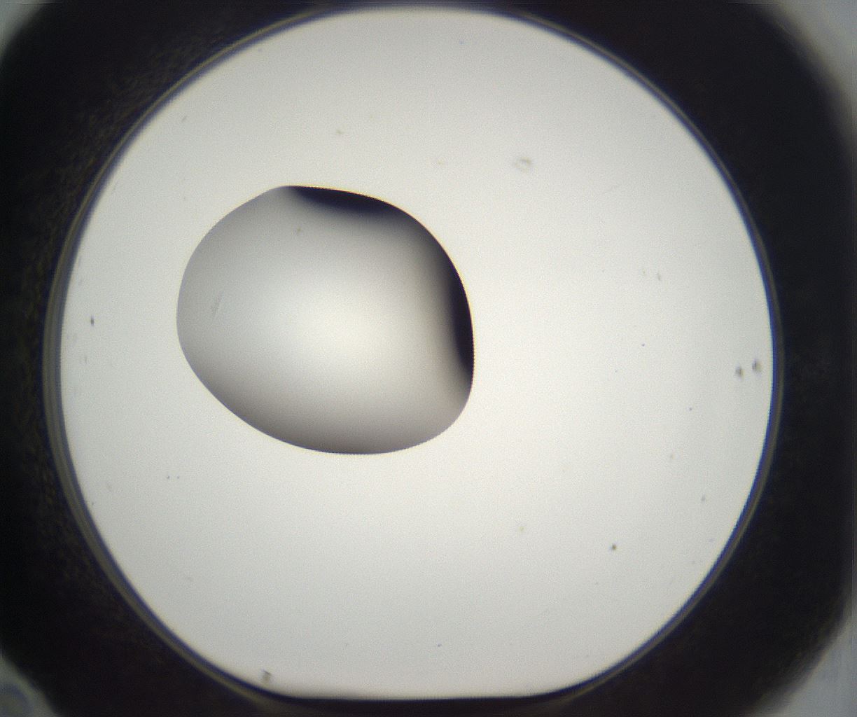 folderID294_plateID2294_batchID10851_wellNum70_profileID1_d1_r161395_ef.jpg