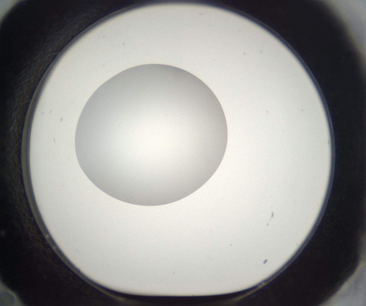 folderID294_plateID2294_batchID10851_wellNum72_profileID1_d1_r161397_ef.jpg