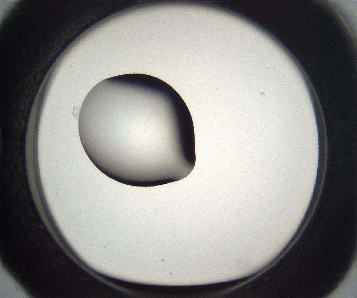 folderID294_plateID2294_batchID10851_wellNum76_profileID1_d1_r161401_ef.jpg