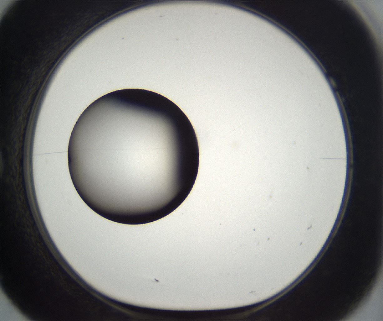 folderID294_plateID2294_batchID10851_wellNum7_profileID1_d1_r161332_ef.jpg
