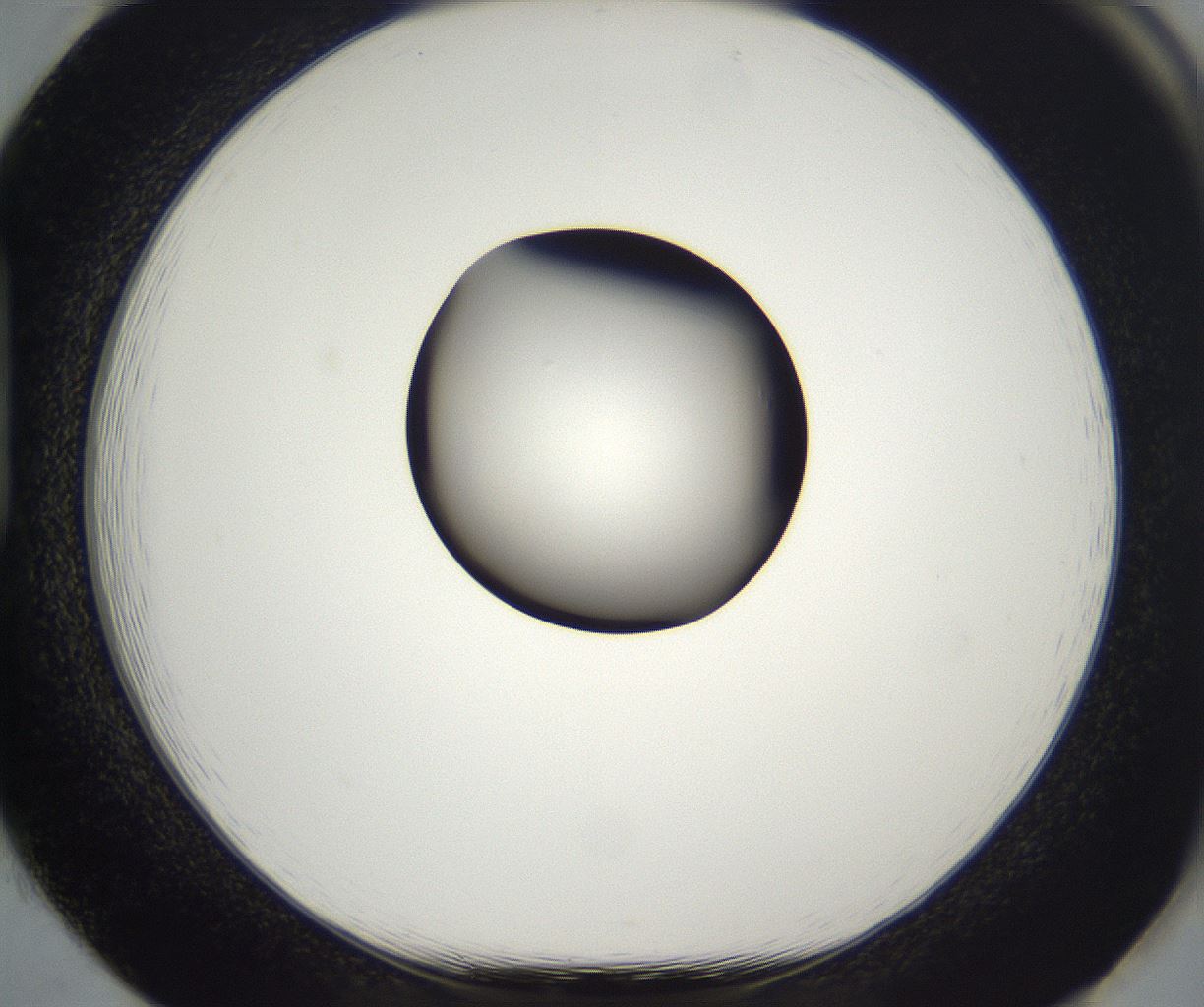 folderID294_plateID2294_batchID10851_wellNum85_profileID1_d1_r161410_ef.jpg