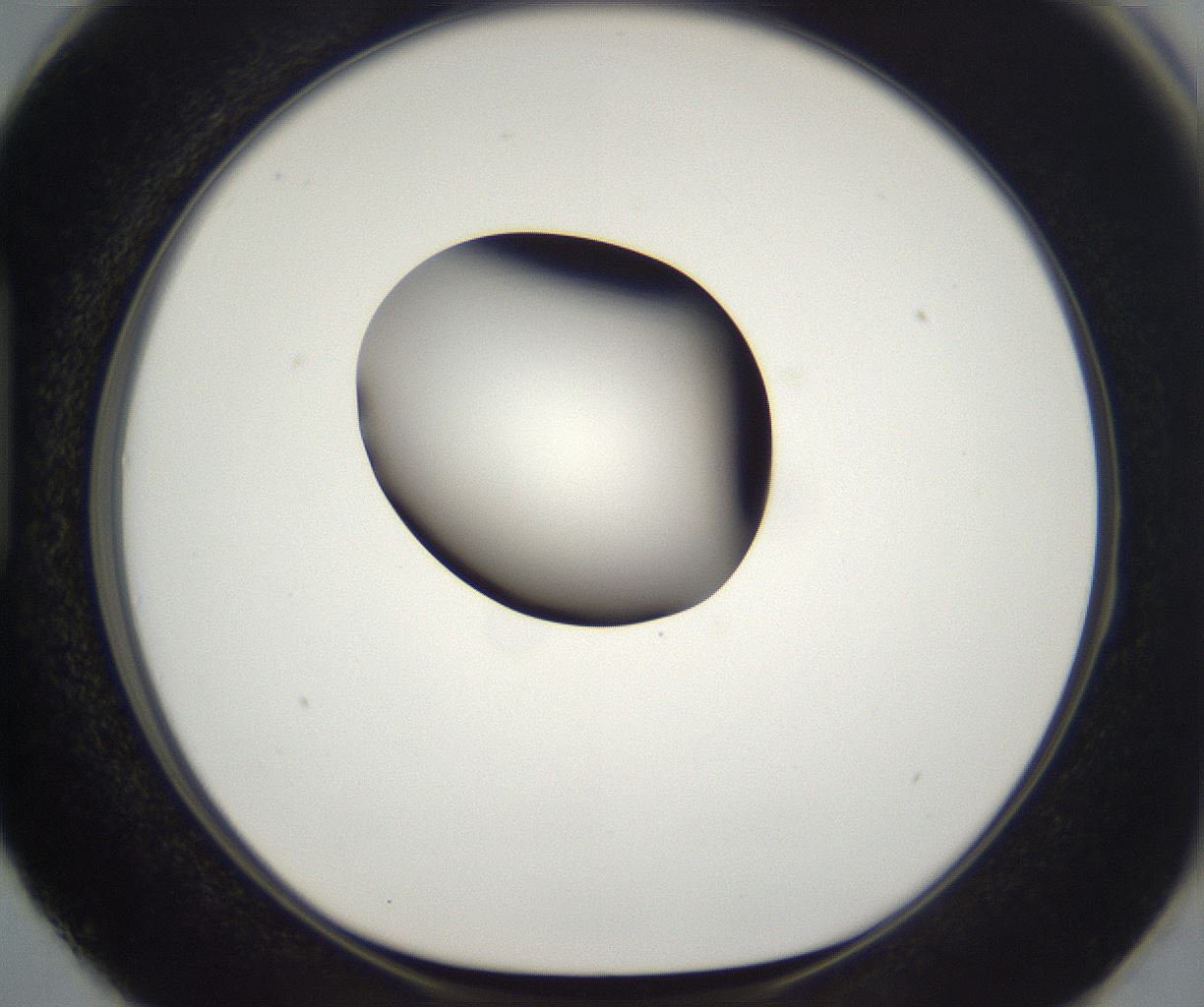 folderID294_plateID2294_batchID10851_wellNum87_profileID1_d1_r161412_ef.jpg