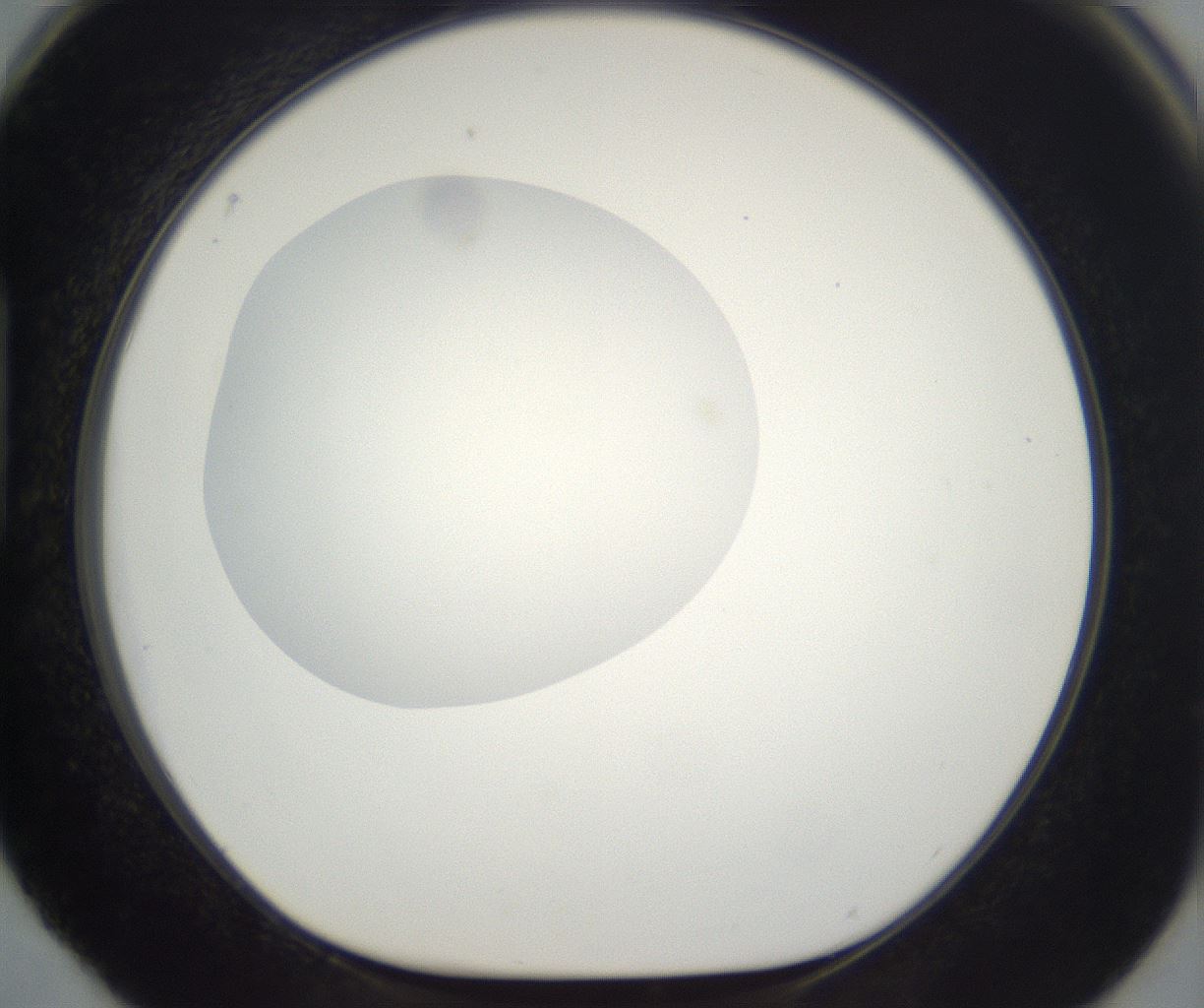 folderID294_plateID2294_batchID10851_wellNum88_profileID1_d1_r161413_ef.jpg