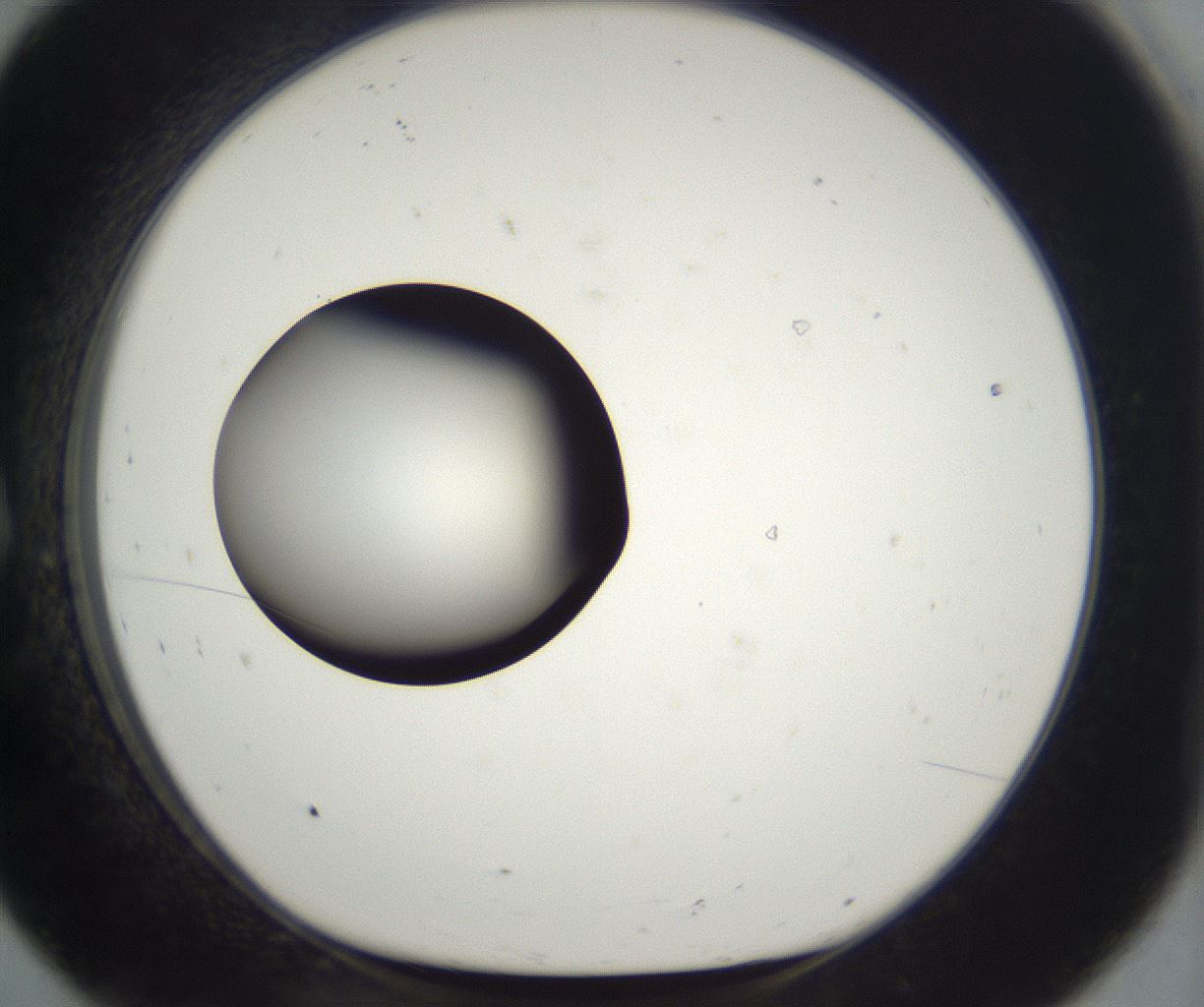 folderID294_plateID2294_batchID10851_wellNum8_profileID1_d1_r161333_ef.jpg