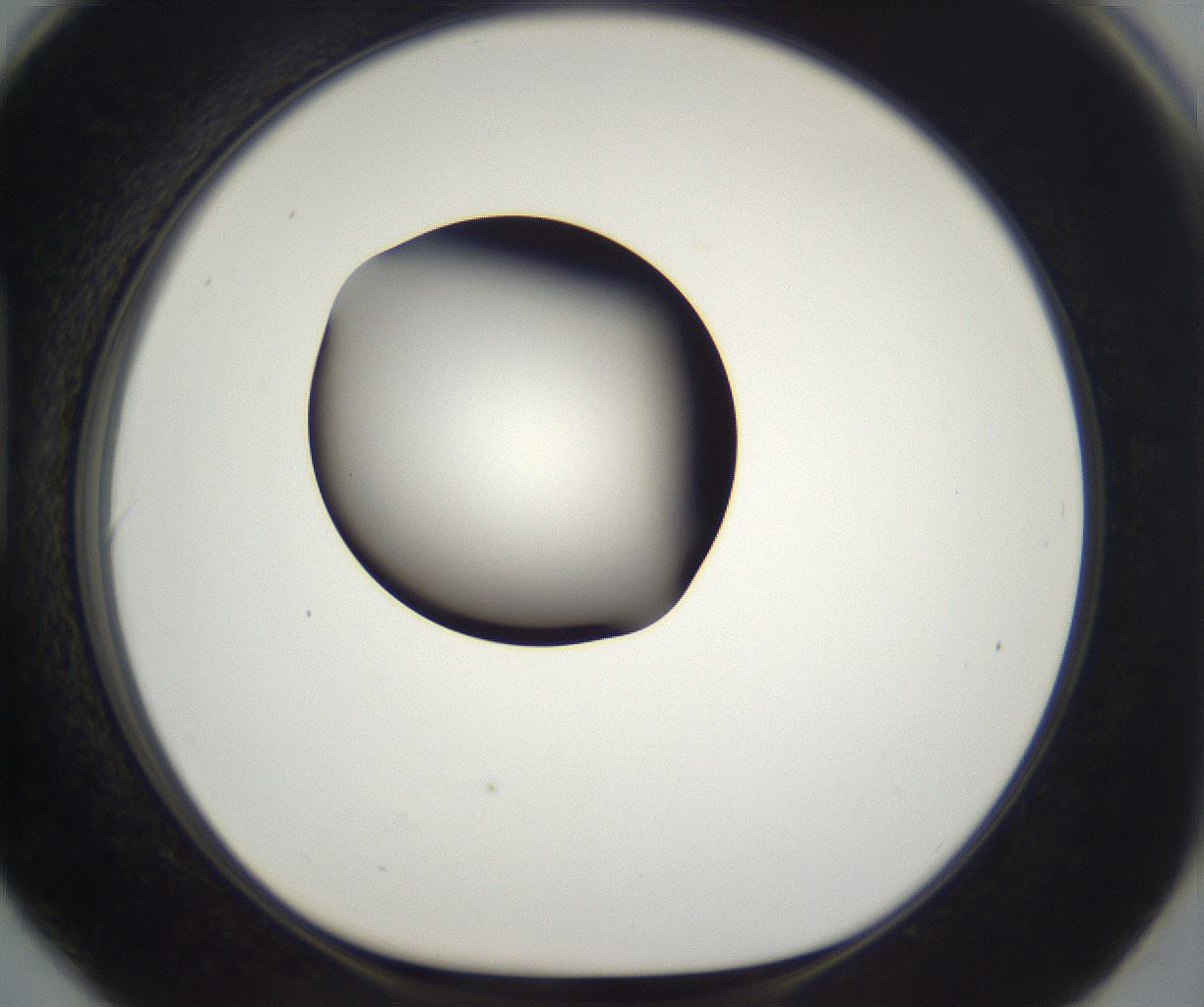 folderID294_plateID2294_batchID10851_wellNum90_profileID1_d1_r161415_ef.jpg