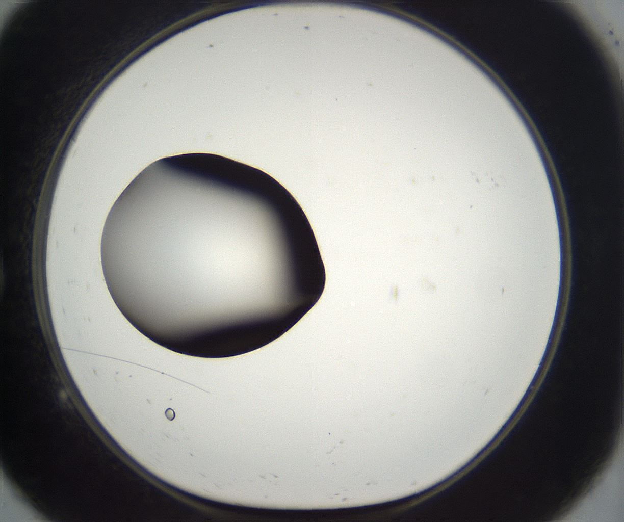 folderID294_plateID2294_batchID10851_wellNum9_profileID1_d1_r161334_ef.jpg