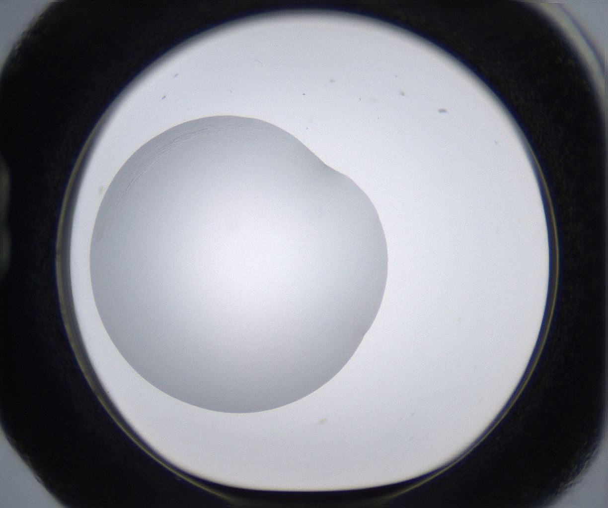folderID295_plateID2295_batchID10832_wellNum17_profileID1_d1_r160382_ef.jpg